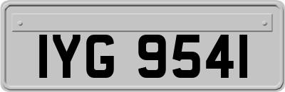 IYG9541