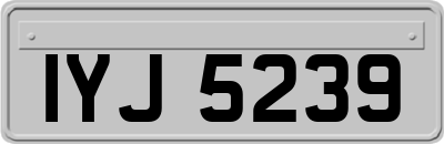 IYJ5239