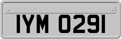 IYM0291