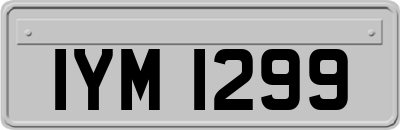 IYM1299