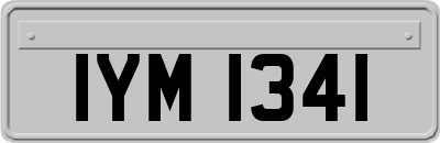 IYM1341