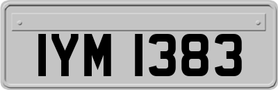 IYM1383