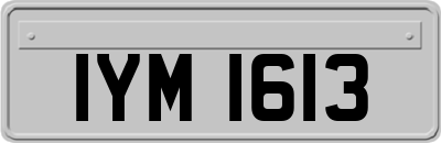 IYM1613
