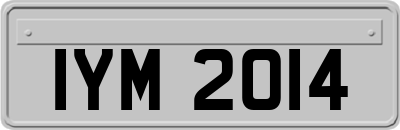 IYM2014