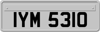 IYM5310