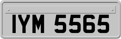 IYM5565