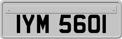 IYM5601