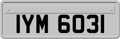 IYM6031