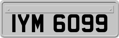 IYM6099