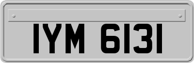 IYM6131