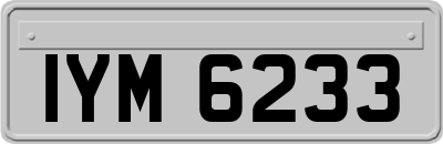 IYM6233