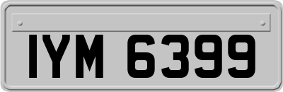 IYM6399