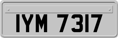 IYM7317