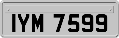 IYM7599