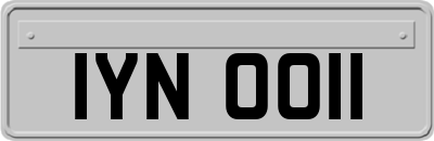 IYN0011