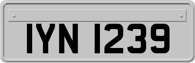 IYN1239