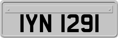 IYN1291