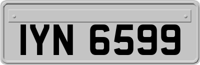 IYN6599