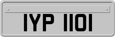IYP1101