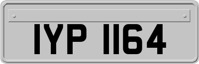 IYP1164