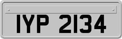 IYP2134