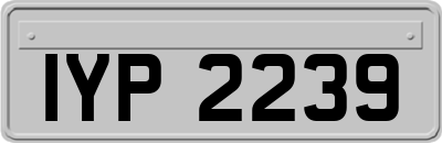 IYP2239