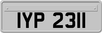 IYP2311