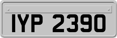 IYP2390