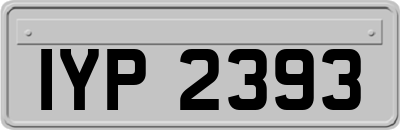 IYP2393