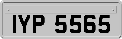 IYP5565