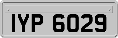 IYP6029