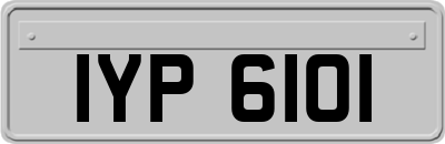 IYP6101
