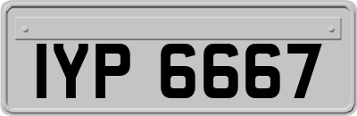 IYP6667