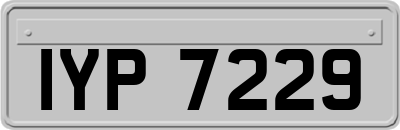 IYP7229