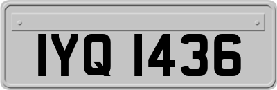 IYQ1436