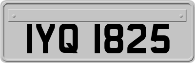 IYQ1825
