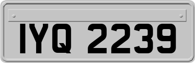 IYQ2239