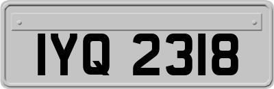 IYQ2318