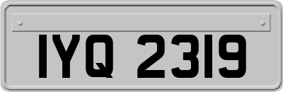 IYQ2319
