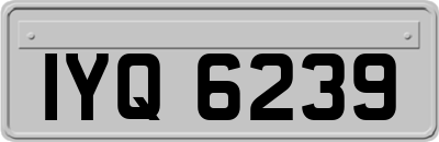 IYQ6239