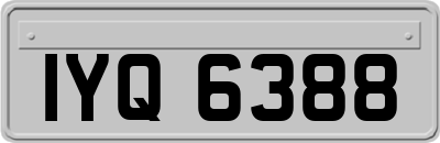 IYQ6388