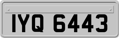 IYQ6443