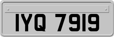 IYQ7919