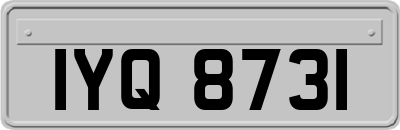 IYQ8731