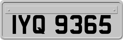 IYQ9365
