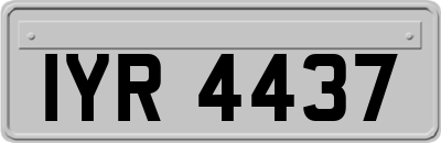 IYR4437