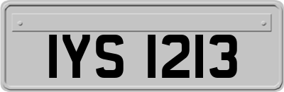 IYS1213