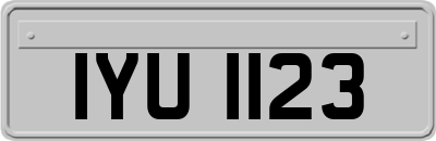 IYU1123