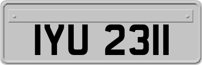 IYU2311