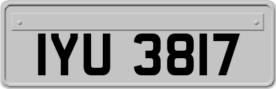IYU3817